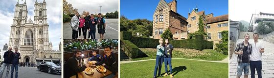 Cute puffin Ceramic Tiles with Pictures for Wall Hanging